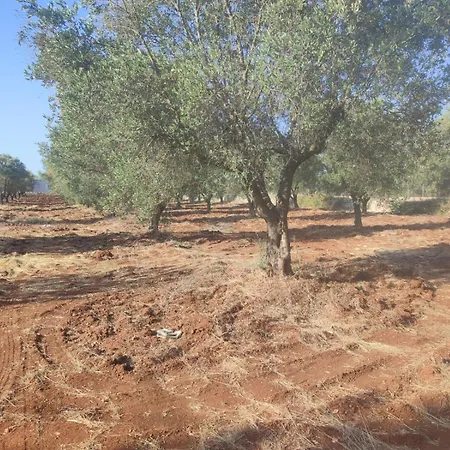 Trullo Ugo * Carovigno